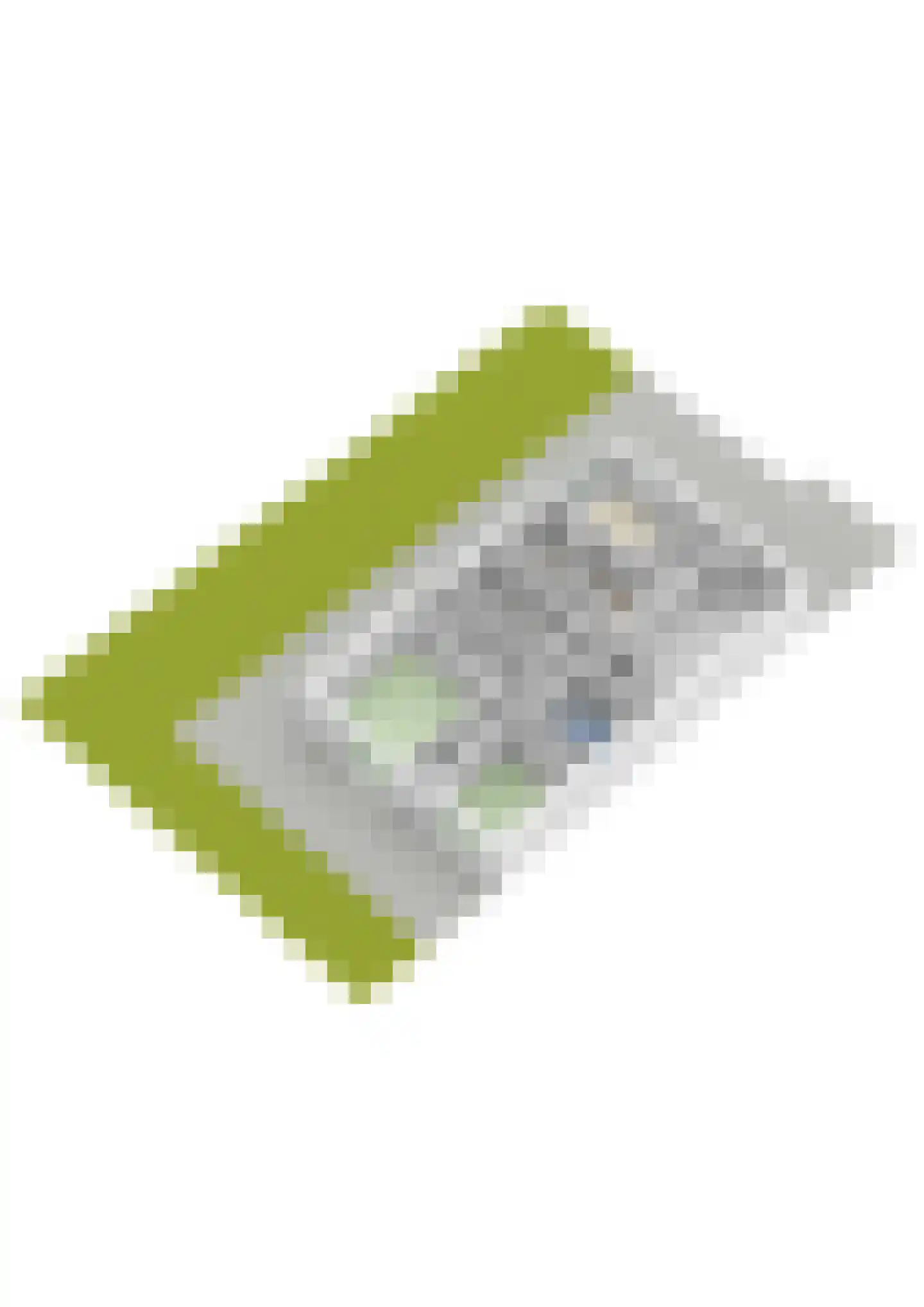 Aletta Jacobskade 204 Vlaardingen thumbnail 42