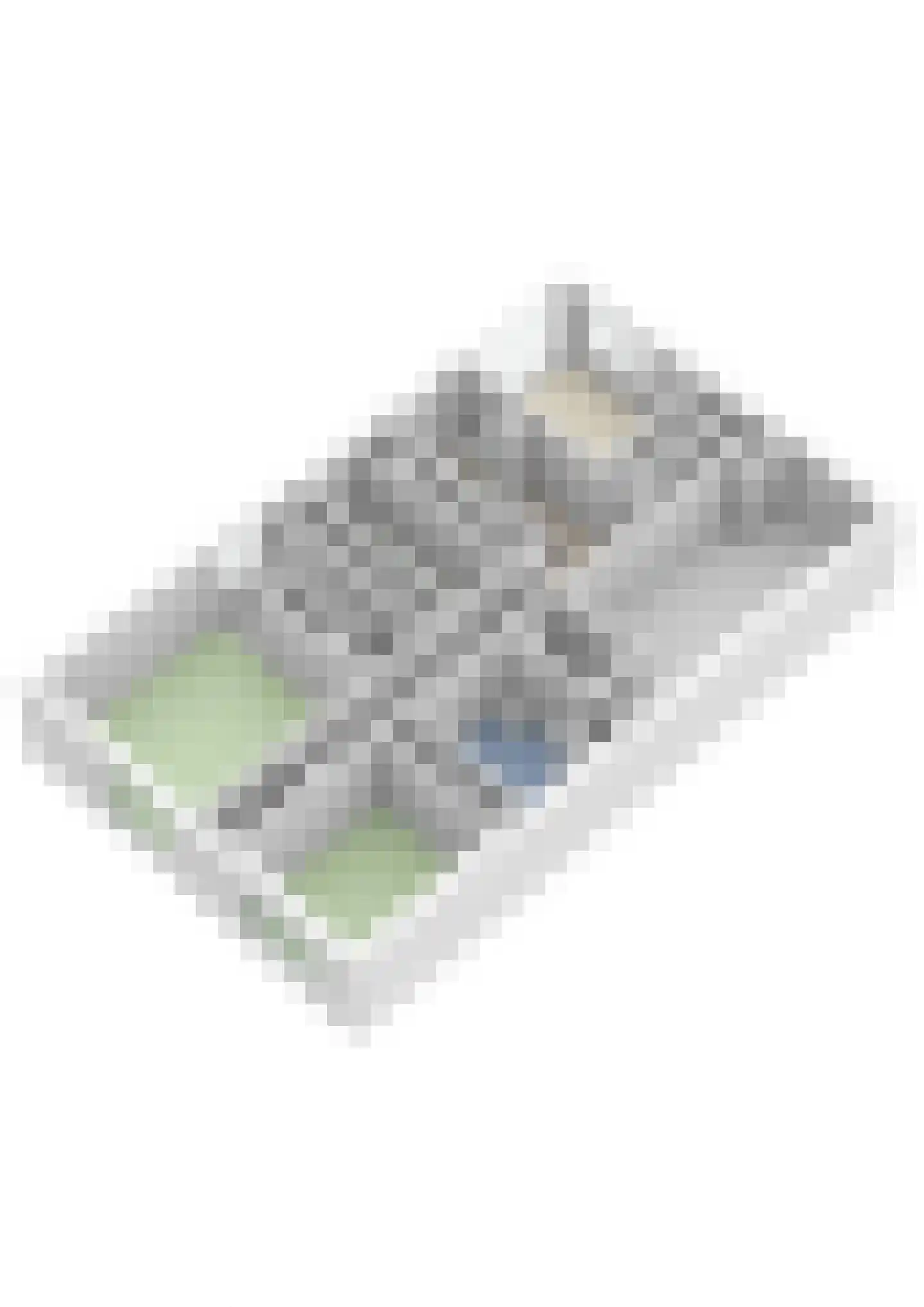 Aletta Jacobskade 204 Vlaardingen thumbnail 44