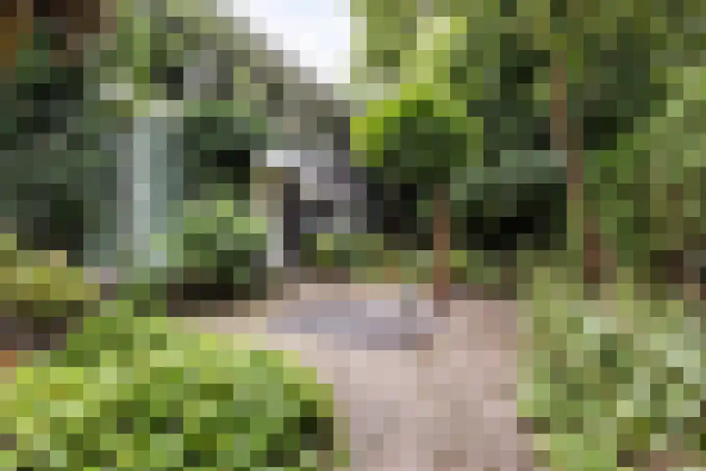Aletta Jacobskade 204 Vlaardingen thumbnail 5