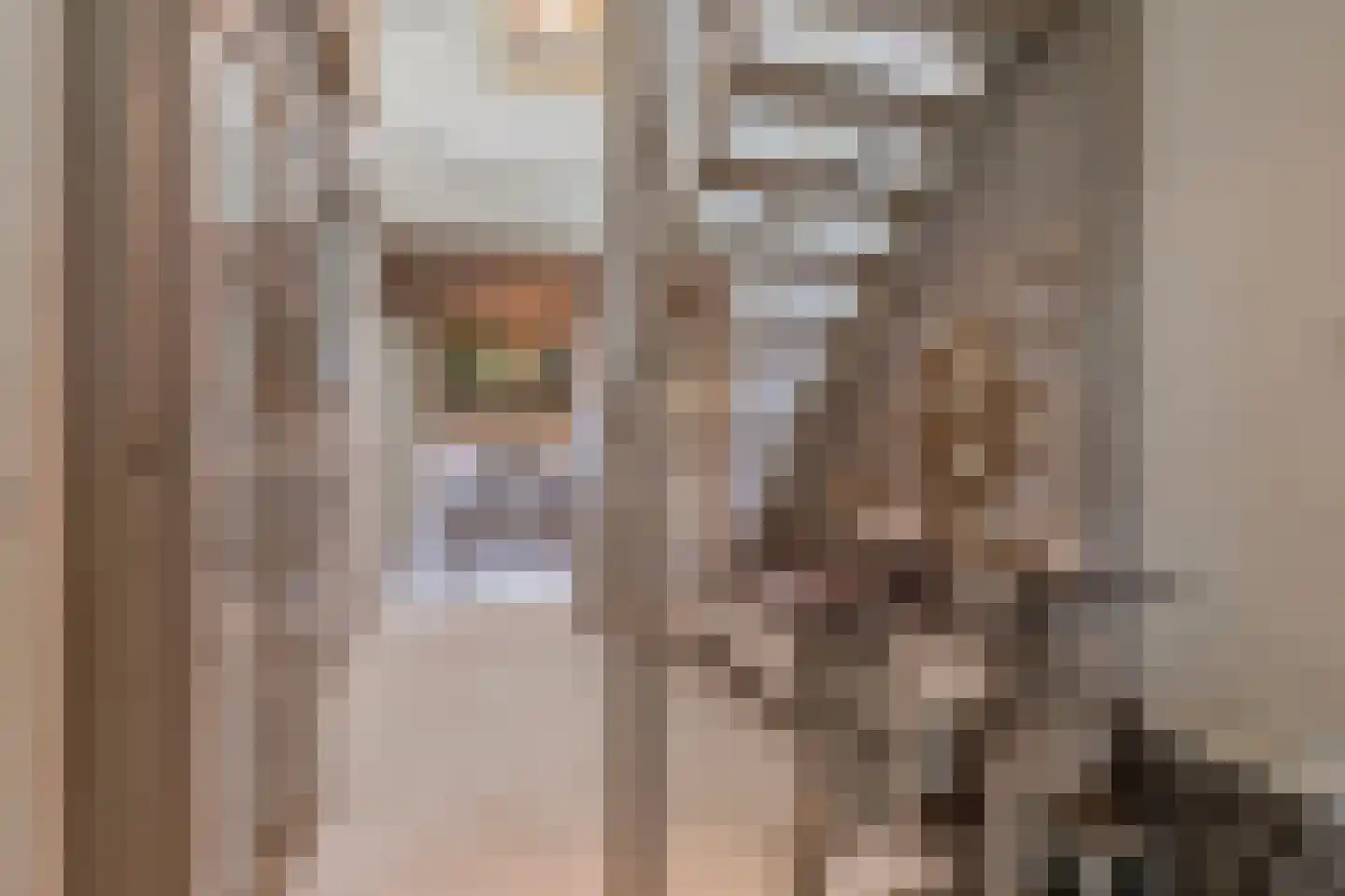 Aletta Jacobskade 204 Vlaardingen thumbnail 6