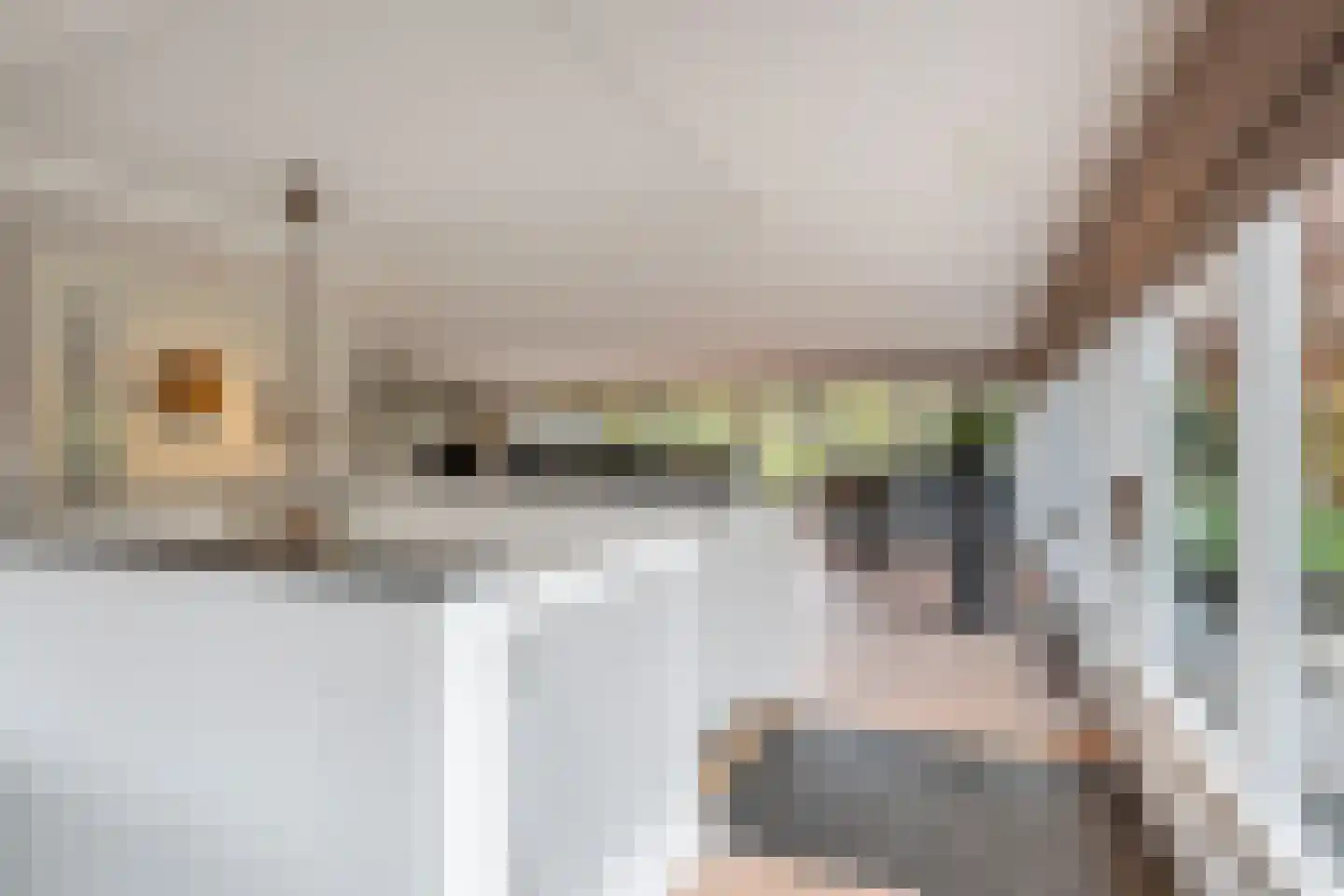 Aletta Jacobskade 208 Vlaardingen thumbnail 14