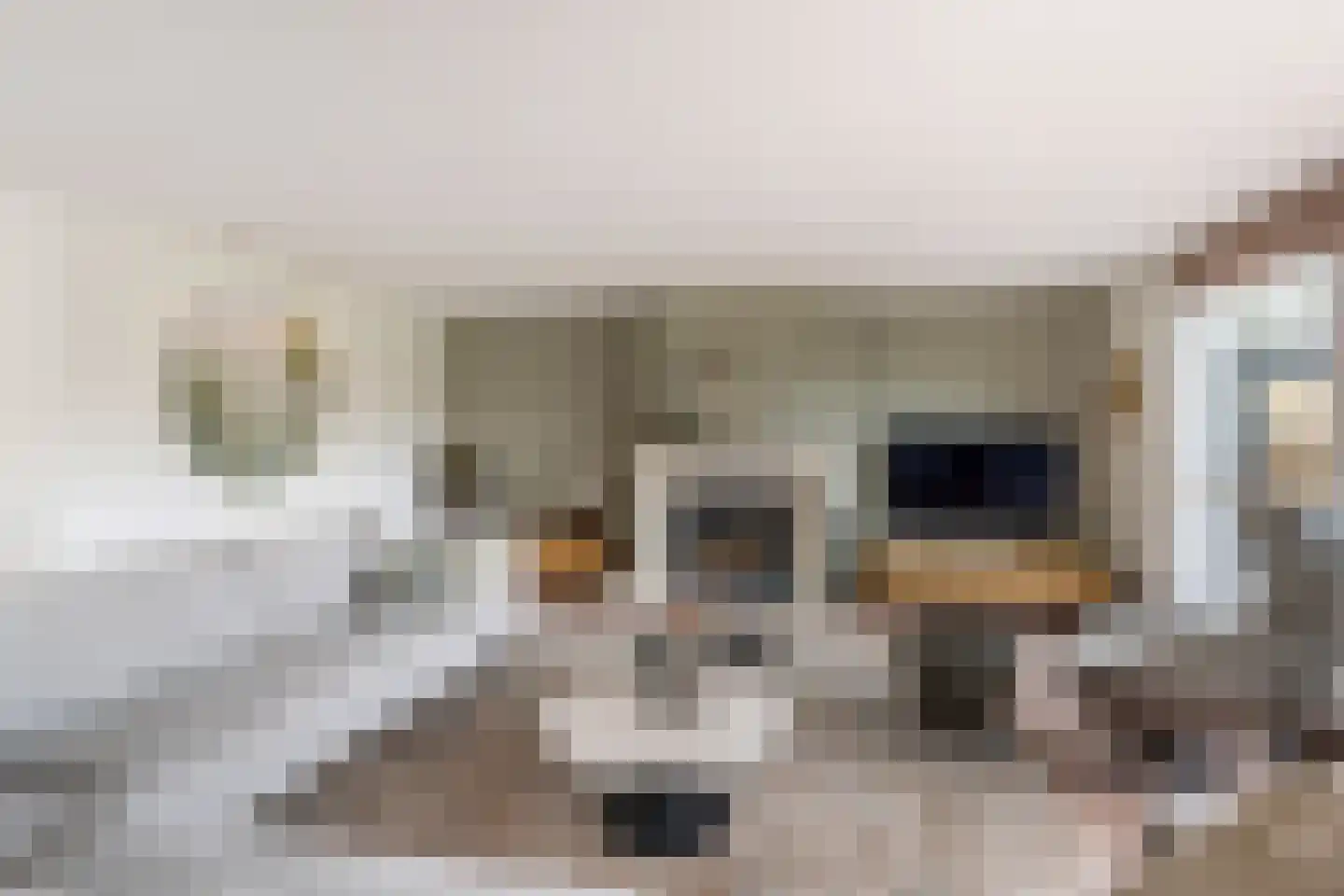 Aletta Jacobskade 208 Vlaardingen thumbnail 15