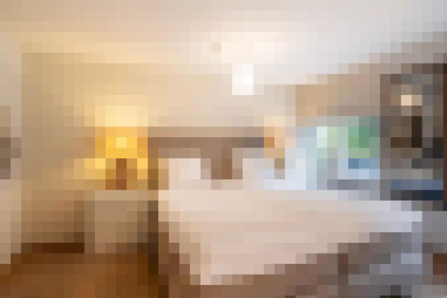 Aletta Jacobskade 208 Vlaardingen thumbnail 32