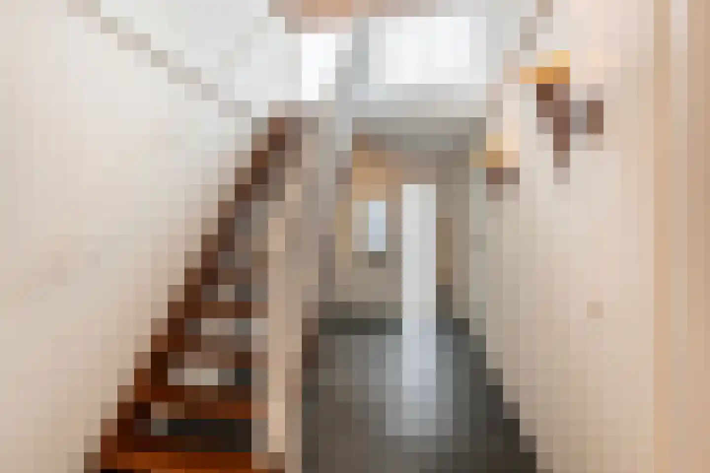Aletta Jacobskade 208 Vlaardingen thumbnail 36