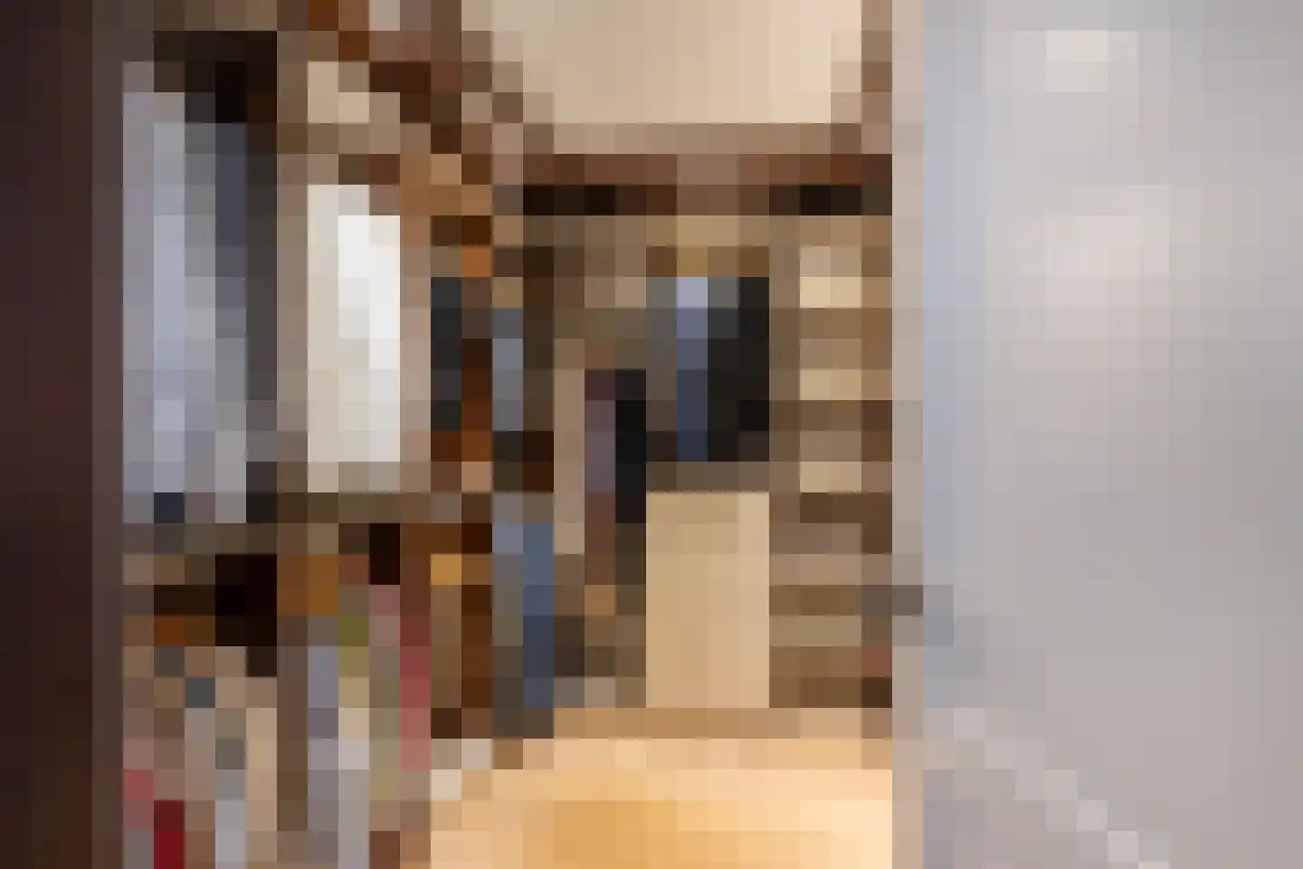 Aletta Jacobskade 208 Vlaardingen thumbnail 42