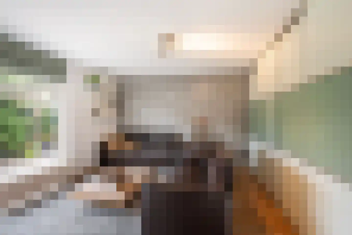 Aletta Jacobskade 208 Vlaardingen thumbnail 45