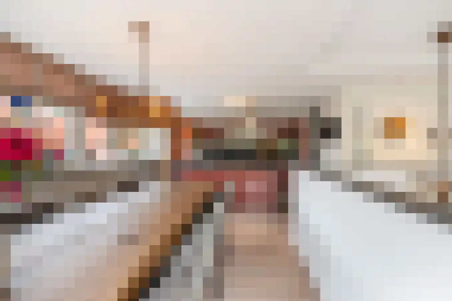 Aletta Jacobskade 208 Vlaardingen thumbnail 5