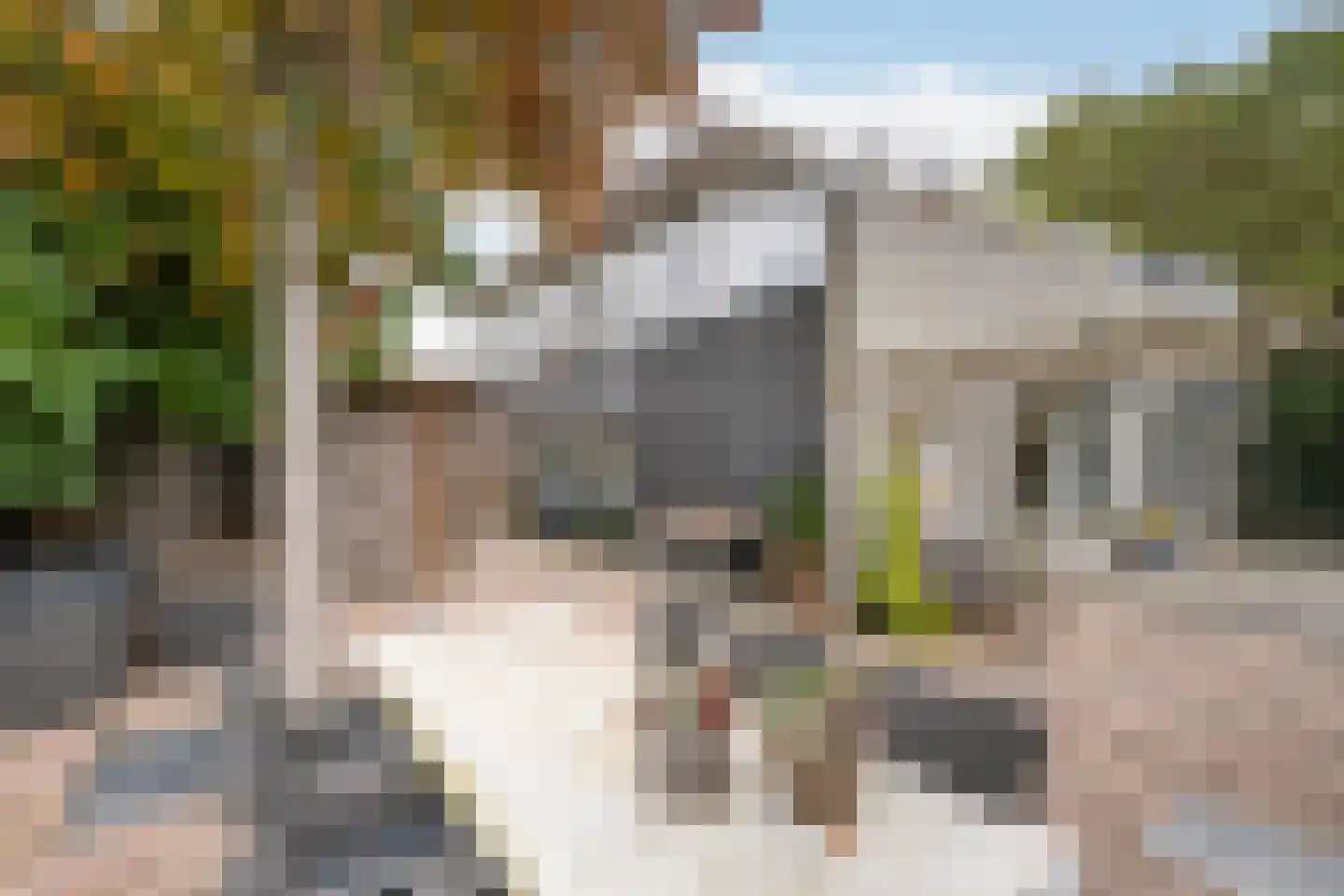 Aletta Jacobskade 208 Vlaardingen thumbnail 54