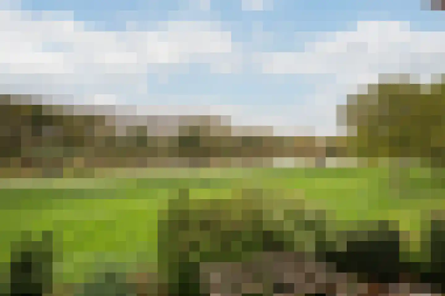 Aletta Jacobskade 208 Vlaardingen thumbnail 60
