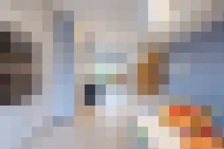 Aletta Jacobskade 38 Vlaardingen thumbnail 13