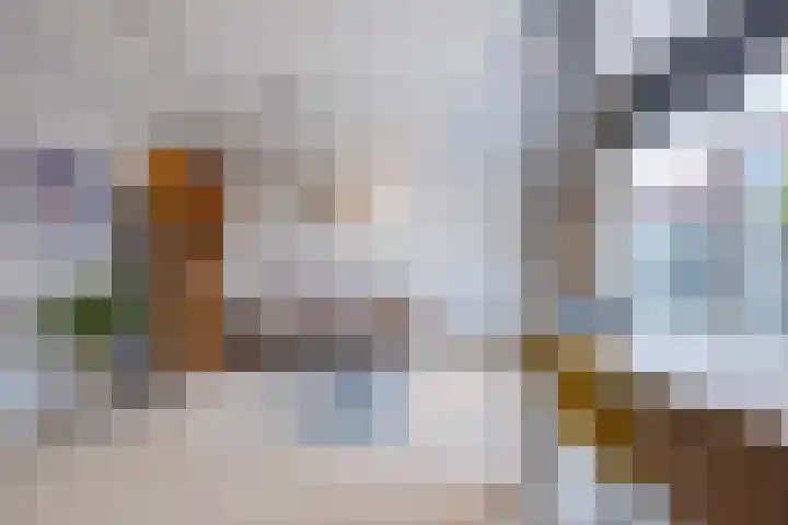 Aletta Jacobskade 38 Vlaardingen thumbnail 17