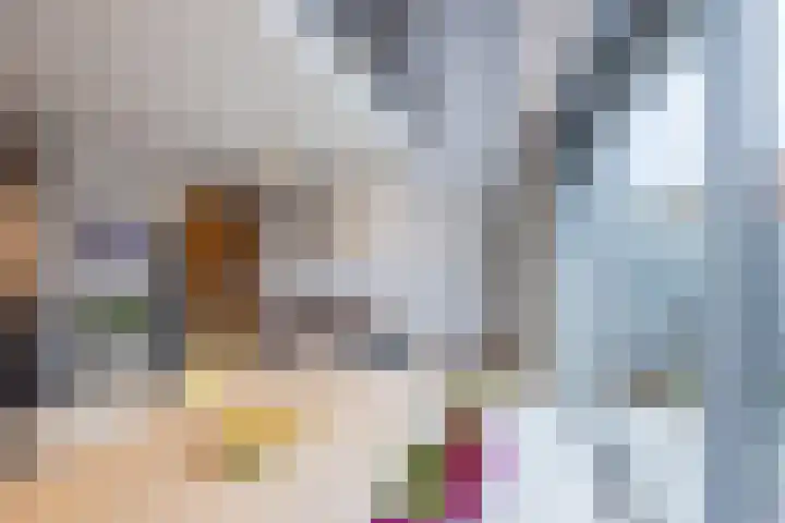 Aletta Jacobskade 38 Vlaardingen thumbnail 18