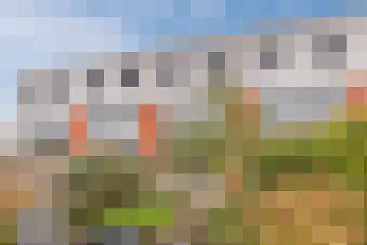 Aletta Jacobskade 38 Vlaardingen thumbnail 26