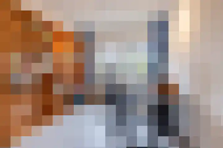 Aletta Jacobskade 38 Vlaardingen thumbnail 37