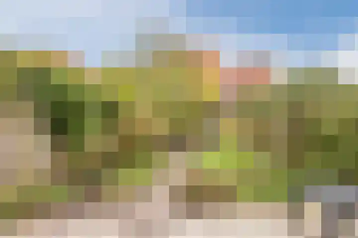 Aletta Jacobskade 38 Vlaardingen thumbnail 4