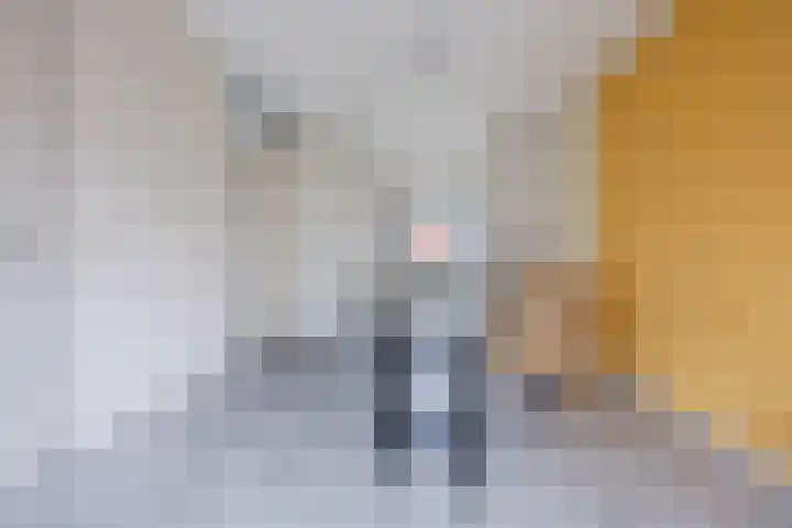 Aletta Jacobskade 38 Vlaardingen thumbnail 40