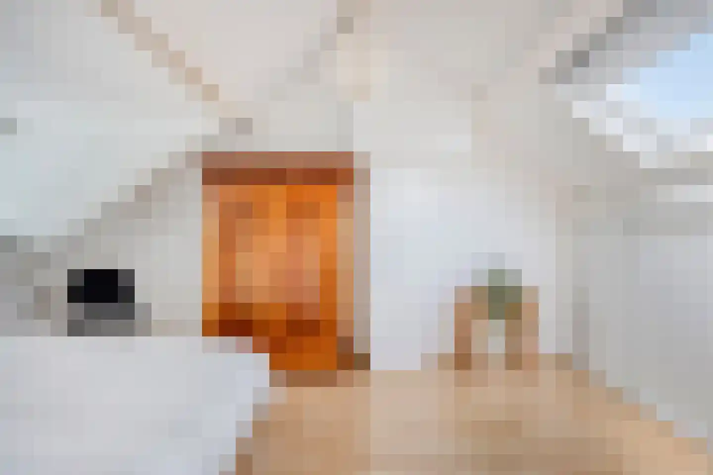 Aletta Jacobslaan 10 Tiel thumbnail 30