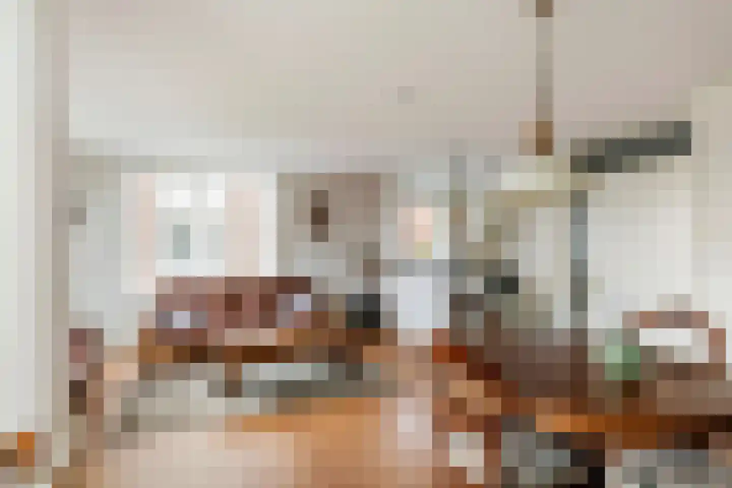 Aletta Jacobslaan 100 Veenendaal thumbnail 4
