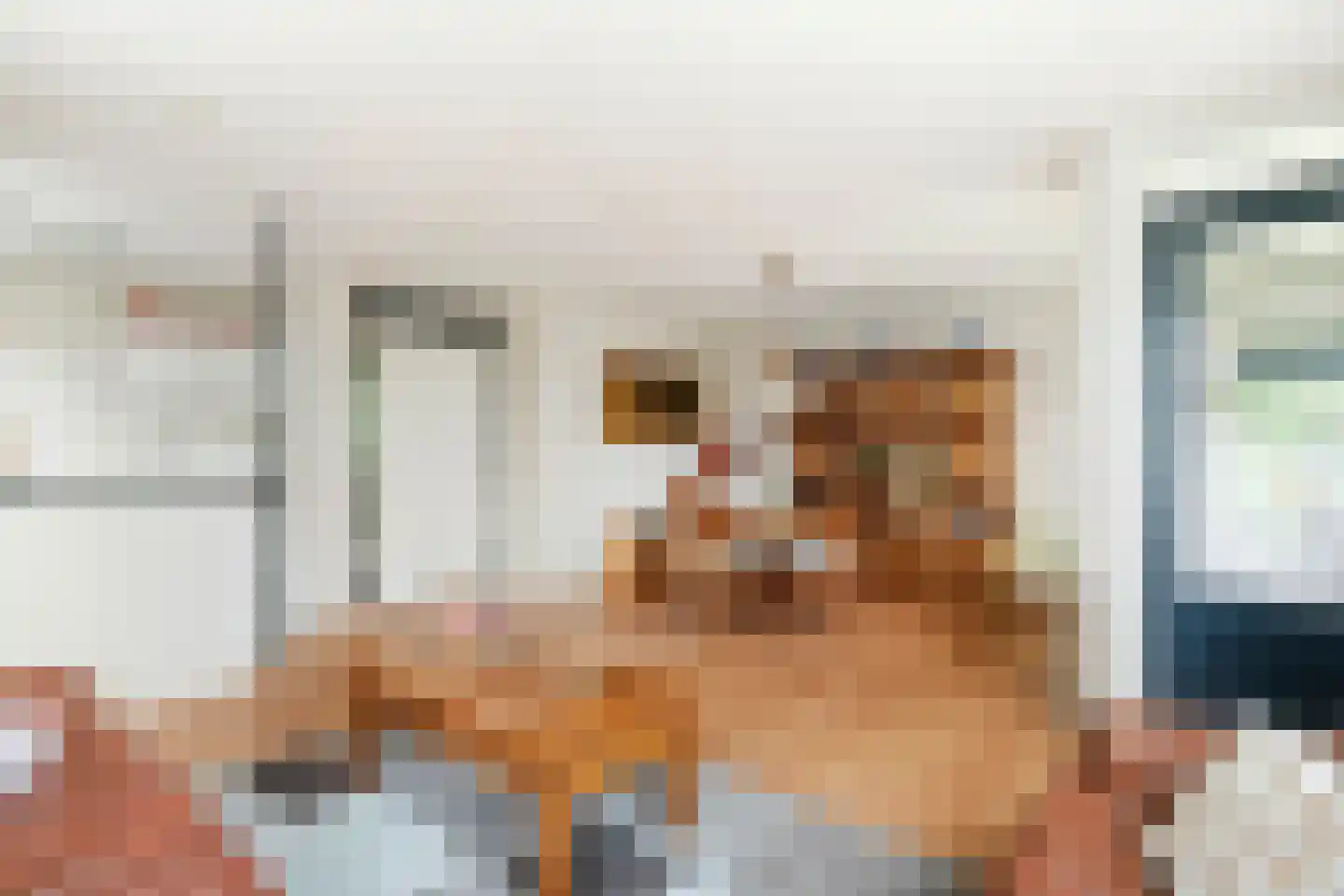 Aletta Jacobslaan 100 Veenendaal thumbnail 9