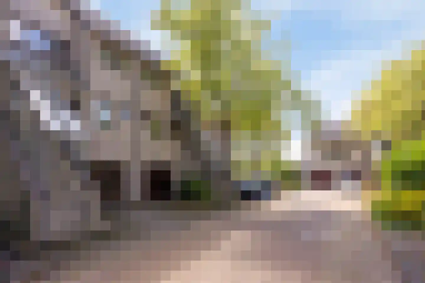 Aletta Jacobslaan 104 Leiden thumbnail 7