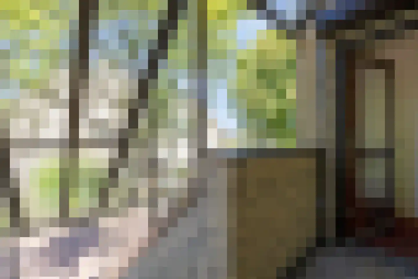 Aletta Jacobslaan 104 Leiden thumbnail 9