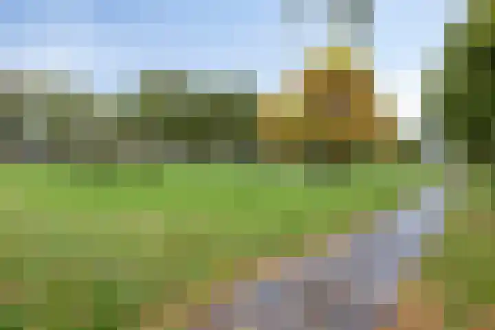 Aletta Jacobslaan 20 Veenendaal thumbnail 22