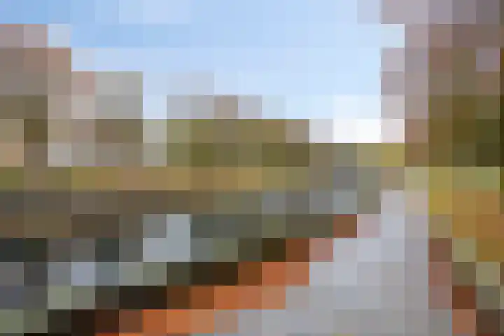 Aletta Jacobslaan 20 Veenendaal thumbnail 23