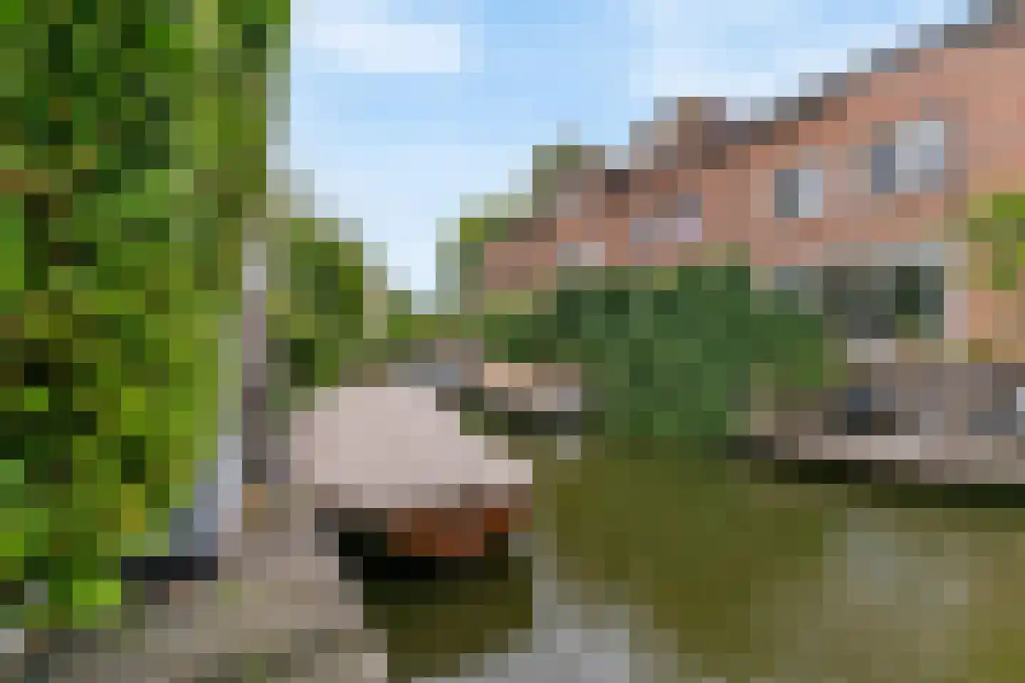 Aletta Jacobslaan 23 Leiden thumbnail 4