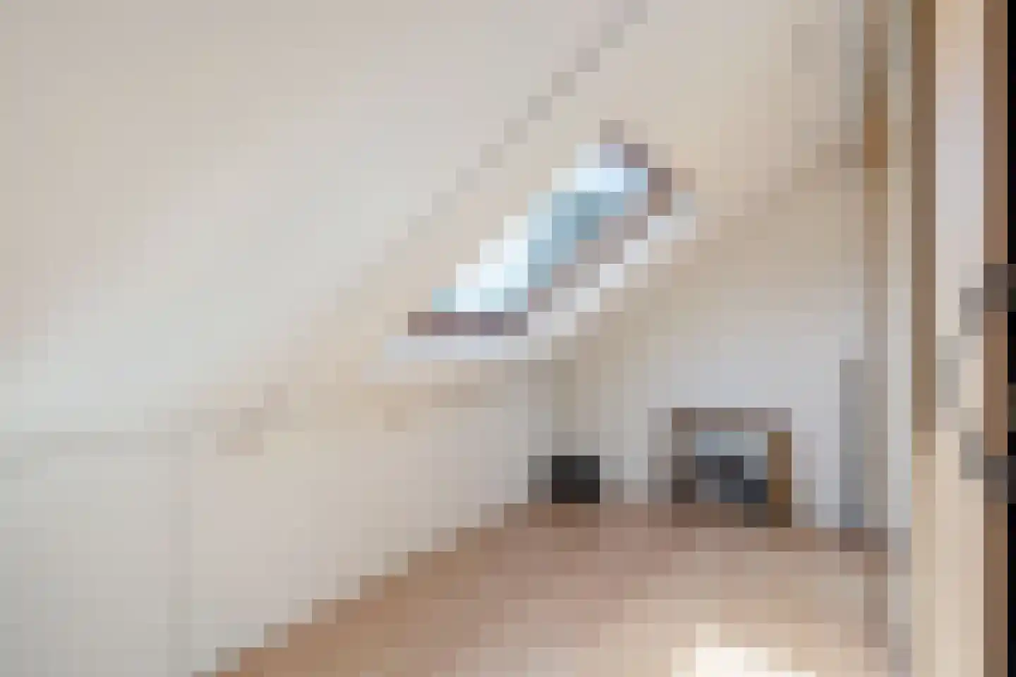 Aletta Jacobslaan 24 Amstelveen thumbnail 39