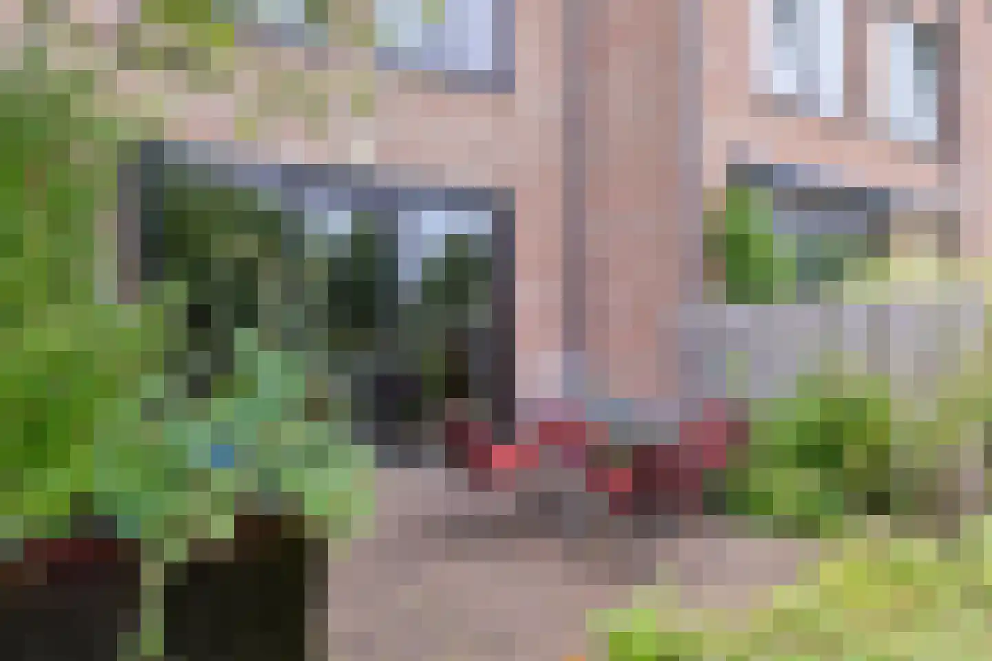 Aletta Jacobslaan 28 Leiden thumbnail 44
