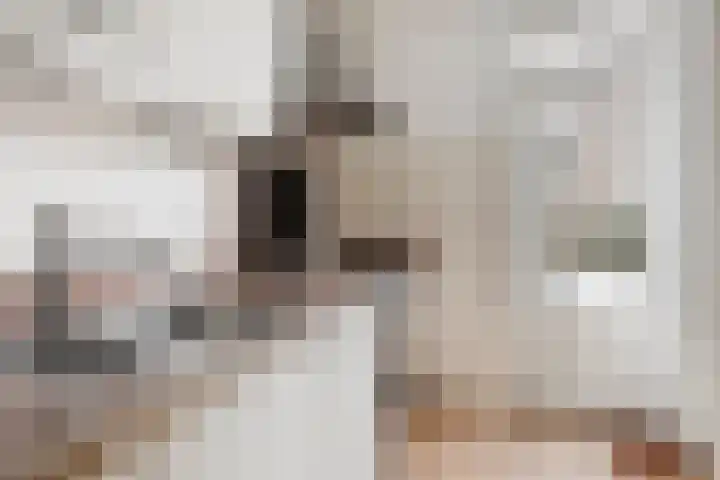 Aletta Jacobslaan 3 Heemstede thumbnail 12