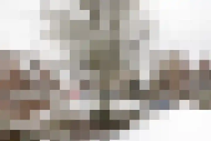 Aletta Jacobslaan 3 Heemstede thumbnail 21