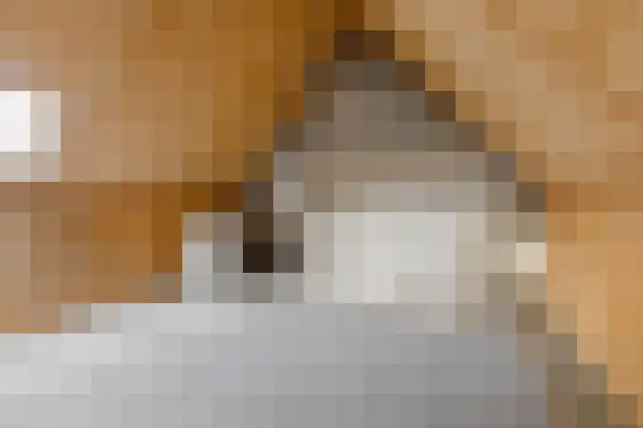 Aletta Jacobslaan 3 Heemstede thumbnail 25