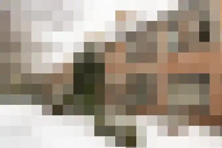 Aletta Jacobslaan 3 Heemstede thumbnail 31
