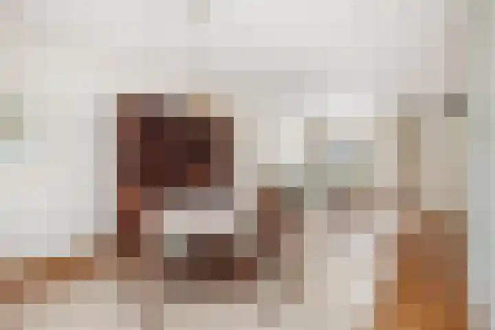 Aletta Jacobslaan 3 Heemstede thumbnail 9