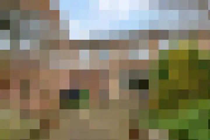 Aletta Jacobslaan 32 Tiel thumbnail 18