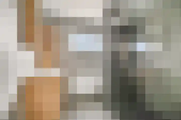 Aletta Jacobslaan 32 Tiel thumbnail 23