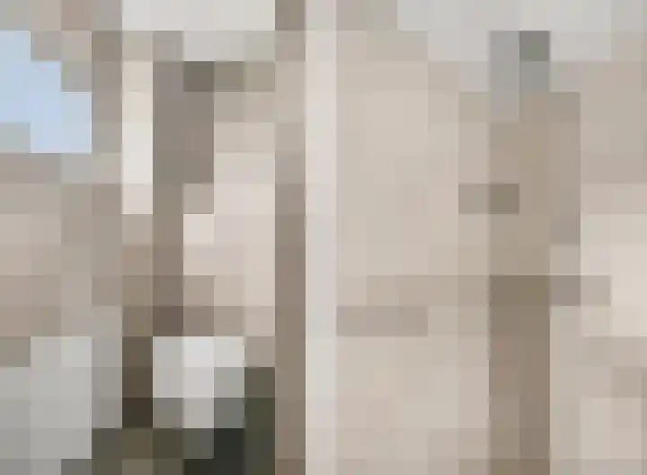 Aletta Jacobslaan 32 Tiel thumbnail 25