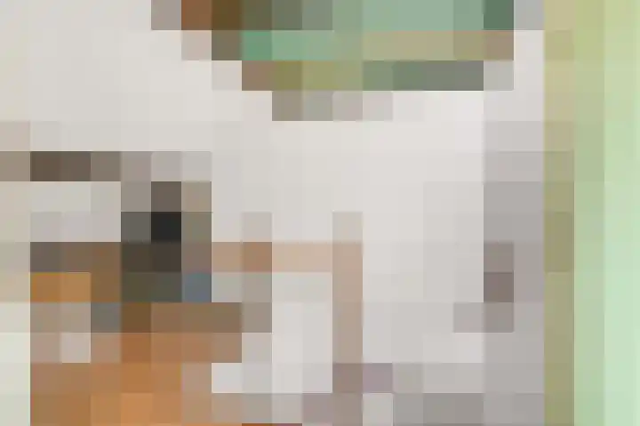 Aletta Jacobslaan 32 Tiel thumbnail 31