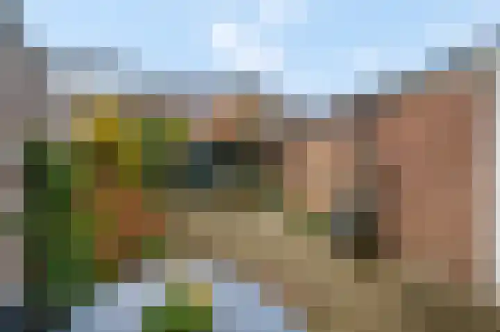 Aletta Jacobslaan 32 Tiel thumbnail 4
