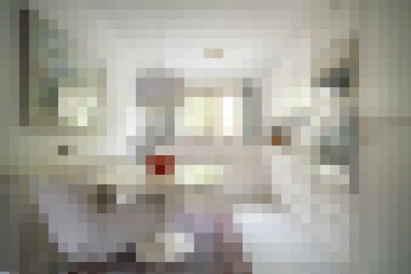 Aletta Jacobslaan 35 Leiden thumbnail 6