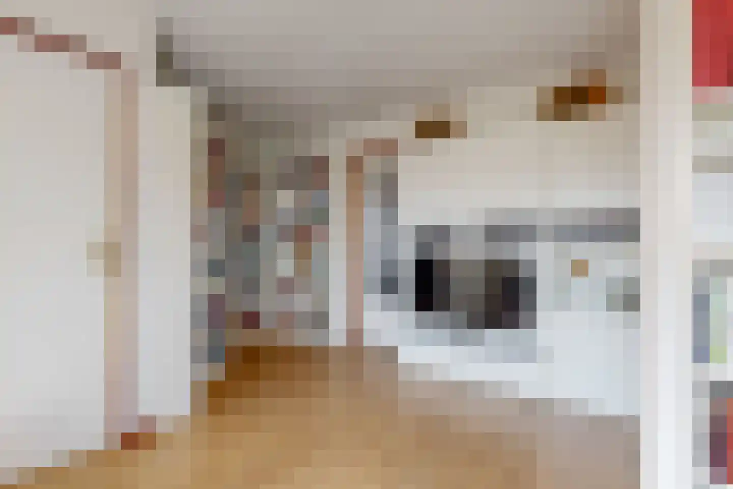 Aletta Jacobslaan 48 Leiden thumbnail 33