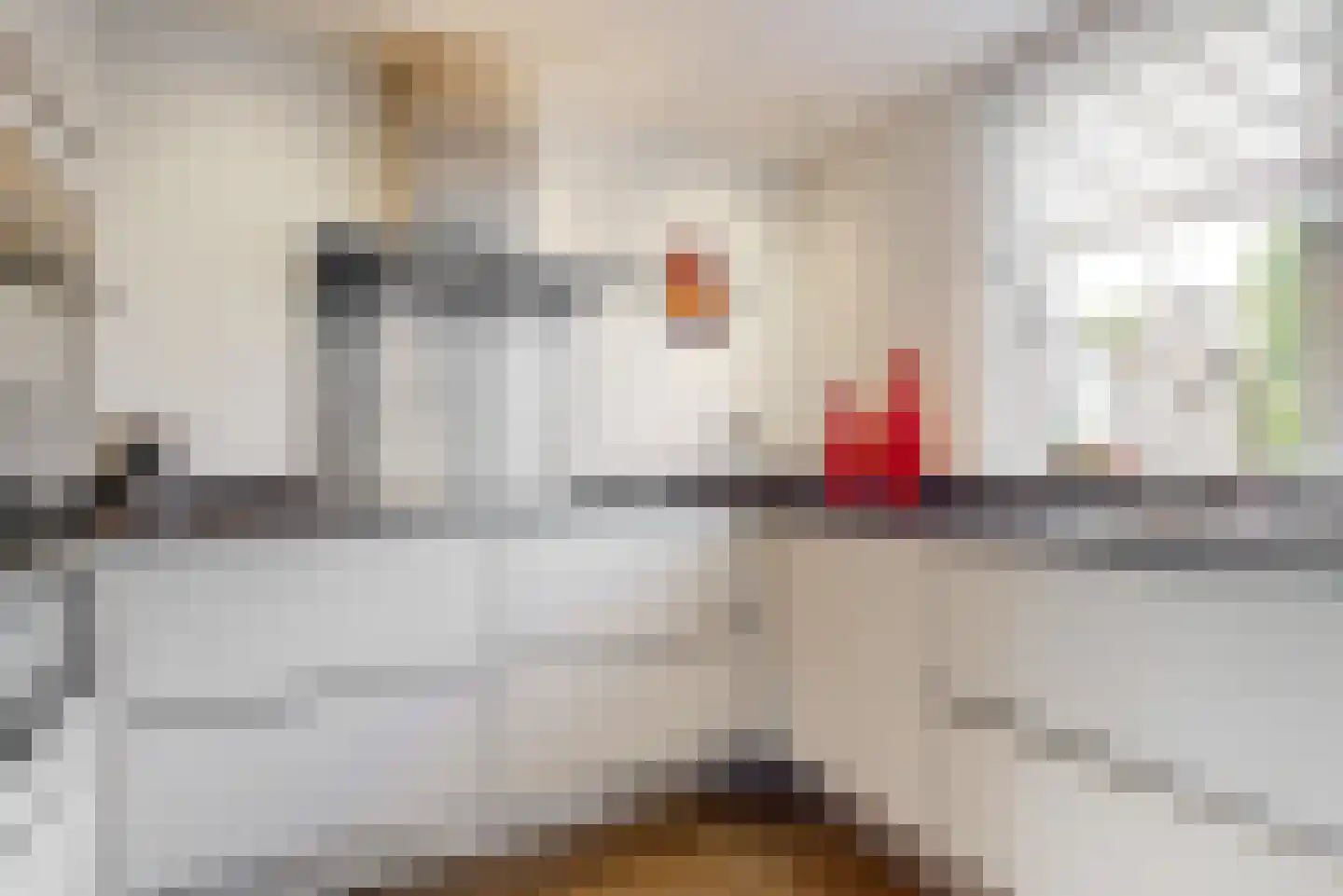Aletta Jacobslaan 48 Leiden thumbnail 7