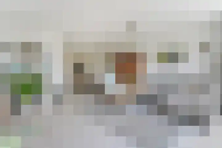 Aletta Jacobslaan 48 Vlissingen thumbnail 6