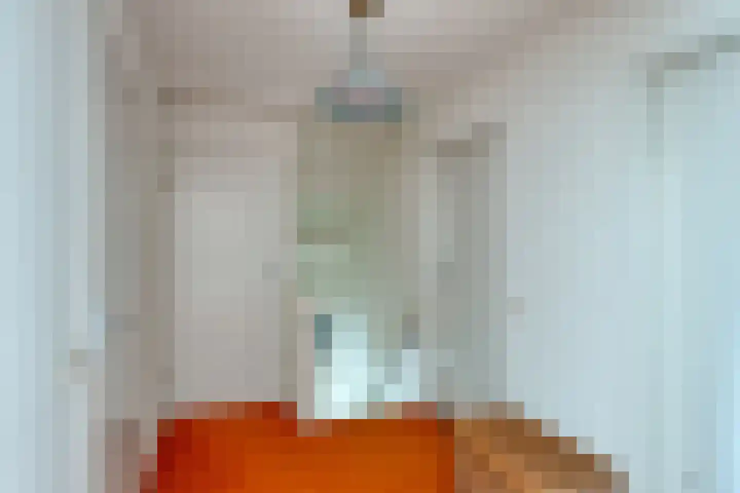 Aletta Jacobslaan 6 Elst thumbnail 22