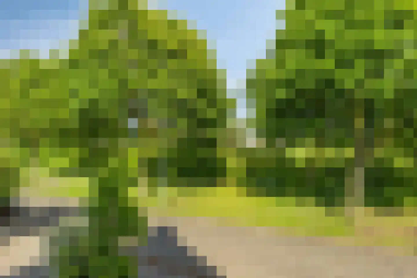 Aletta Jacobslaan 6 Elst thumbnail 26