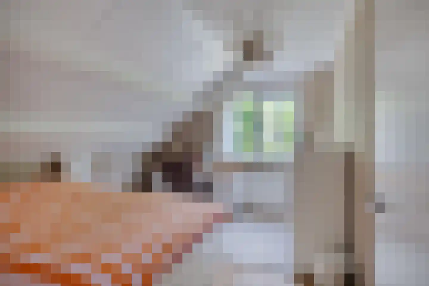 Aletta Jacobslaan 6 Elst thumbnail 29