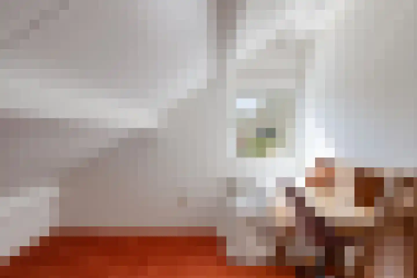 Aletta Jacobslaan 6 Elst thumbnail 31