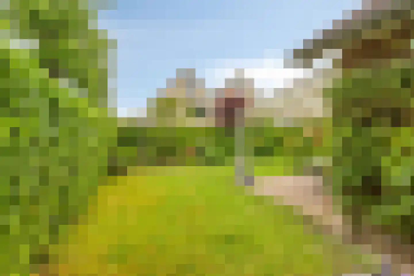 Aletta Jacobslaan 6 Elst thumbnail 34