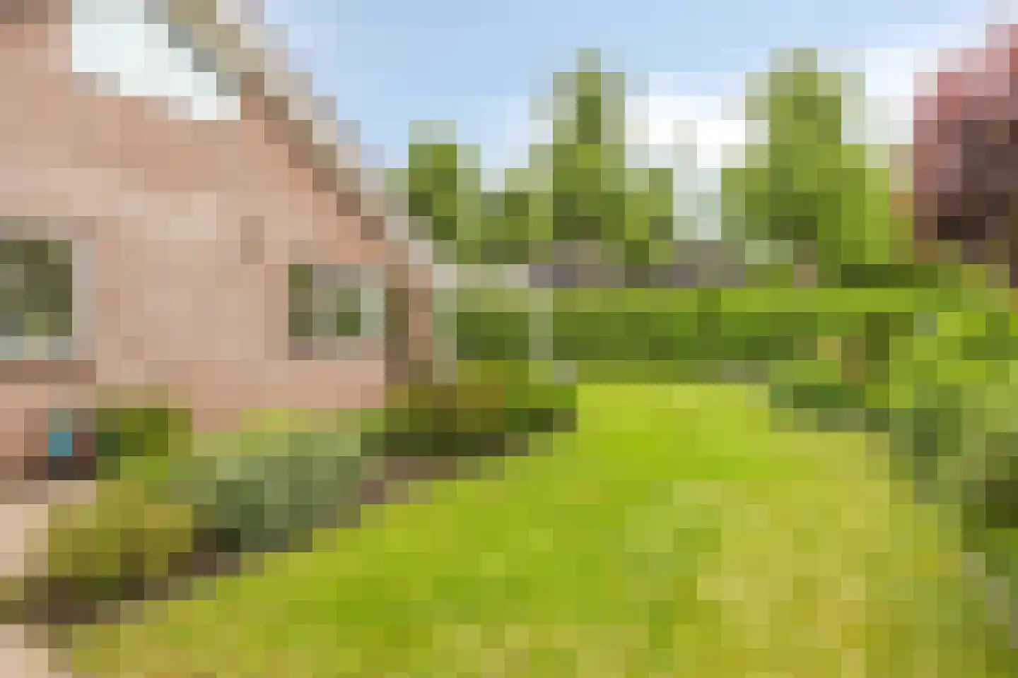Aletta Jacobslaan 6 Elst thumbnail 36